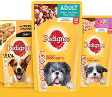 pedigree gravy free sample