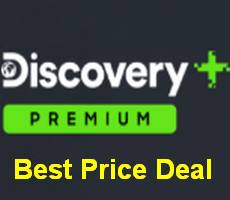 discovery plus cost per year