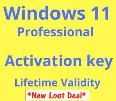 Buy Windows 11 Pro or Windows 10 Pro at Rs 799 or 599 -Lowest Price Flipkart Offer