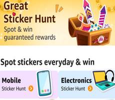 Amazon Great Streak Sticker Spot To Win Guaranteed Rewards -How To Details GIF Sale