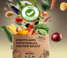 Deep Rooted App Get Unlimited Flat 50% Off on Fresh Vegetables Fruits